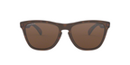 Oakley FROGSKINS OO9013 9013C5 product view