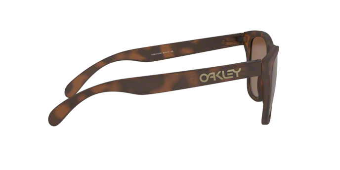Oakley FROGSKINS OO9013 9013C5 product view