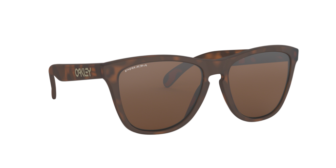 Oakley FROGSKINS OO9013 9013C5 product view