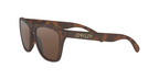 Oakley FROGSKINS OO9013 9013C5 product view