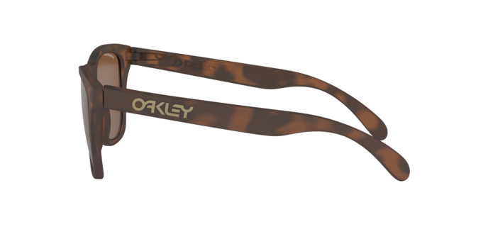 Oakley FROGSKINS OO9013 9013C5 product view