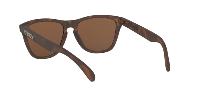 Oakley FROGSKINS OO9013 9013C5 product view