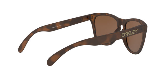 Oakley FROGSKINS OO9013 9013C5 product view