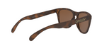 Oakley FROGSKINS OO9013 9013C5 product view