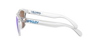 Oakley FROGSKINS OO9013 9013D0 product view