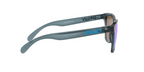 Oakley FROGSKINS OO9013 9013F6 product view