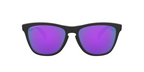Oakley FROGSKINS OO9013 9013H6 product view