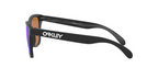 Oakley FROGSKINS OO9013 9013H6 product view