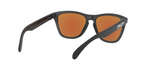 Oakley FROGSKINS OO9013 9013H6 product view