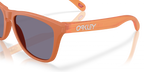 Oakley FROGSKINS OO9013 9013M1 product view
