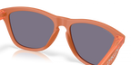 Oakley FROGSKINS OO9013 9013M1 product view