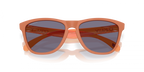 Oakley FROGSKINS OO9013 9013M1 product view