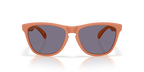 Oakley FROGSKINS OO9013 9013M1 product view