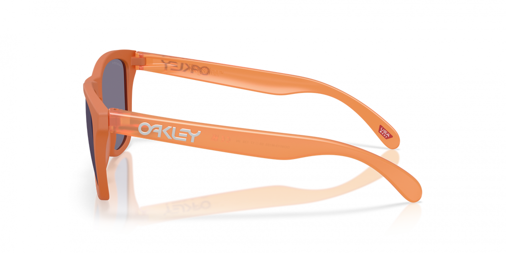 Oakley FROGSKINS OO9013 9013M1 product view