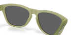 Oakley FROGSKINS OO9013 9013M2 product view
