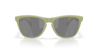 Oakley FROGSKINS OO9013 9013M2 product view