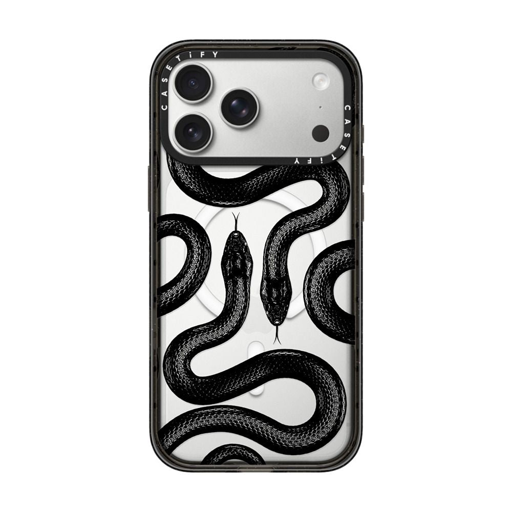 Black Kingsnake iPhone Case Main image