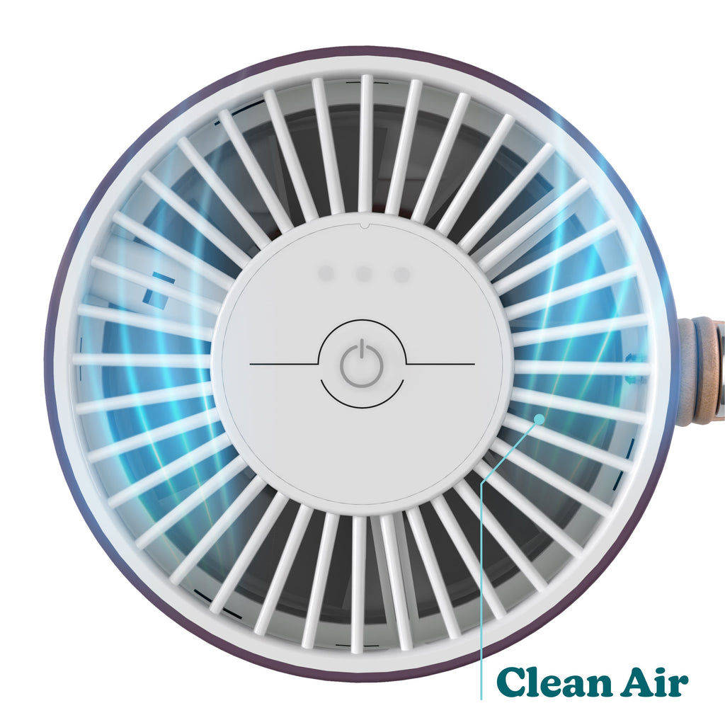 Portable Air Purifier
